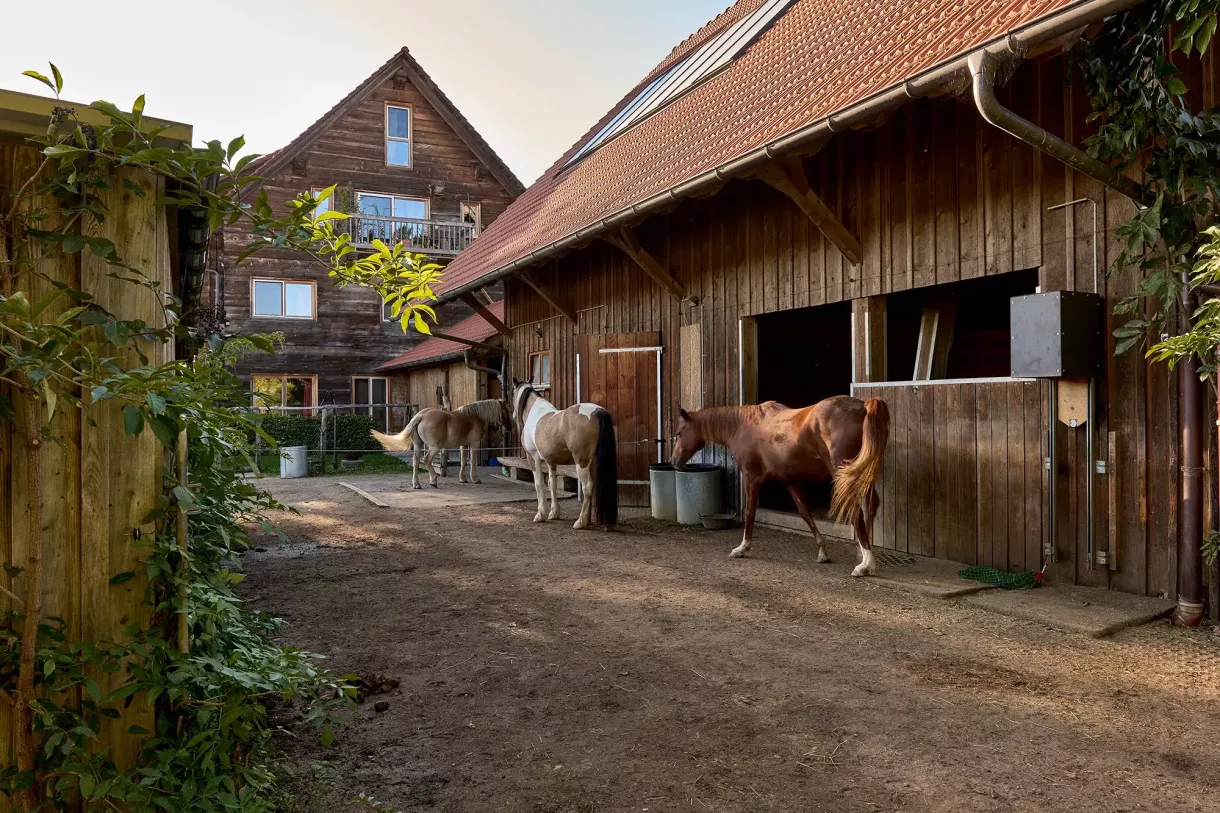 Duffner blockbau holzhaus thurgau pferdehof © helmuth scham 0092