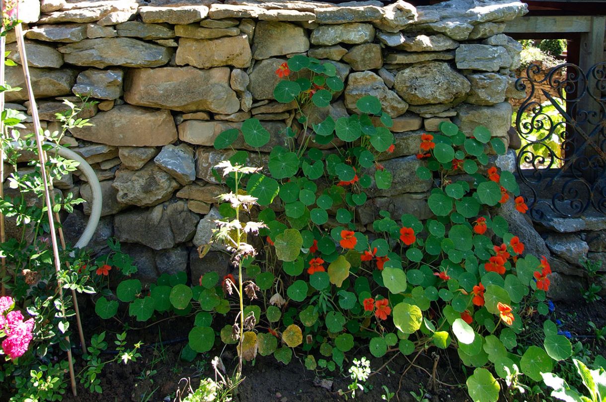 Holzhaus duffner blockbau schwarzwald schwaebische alb 07