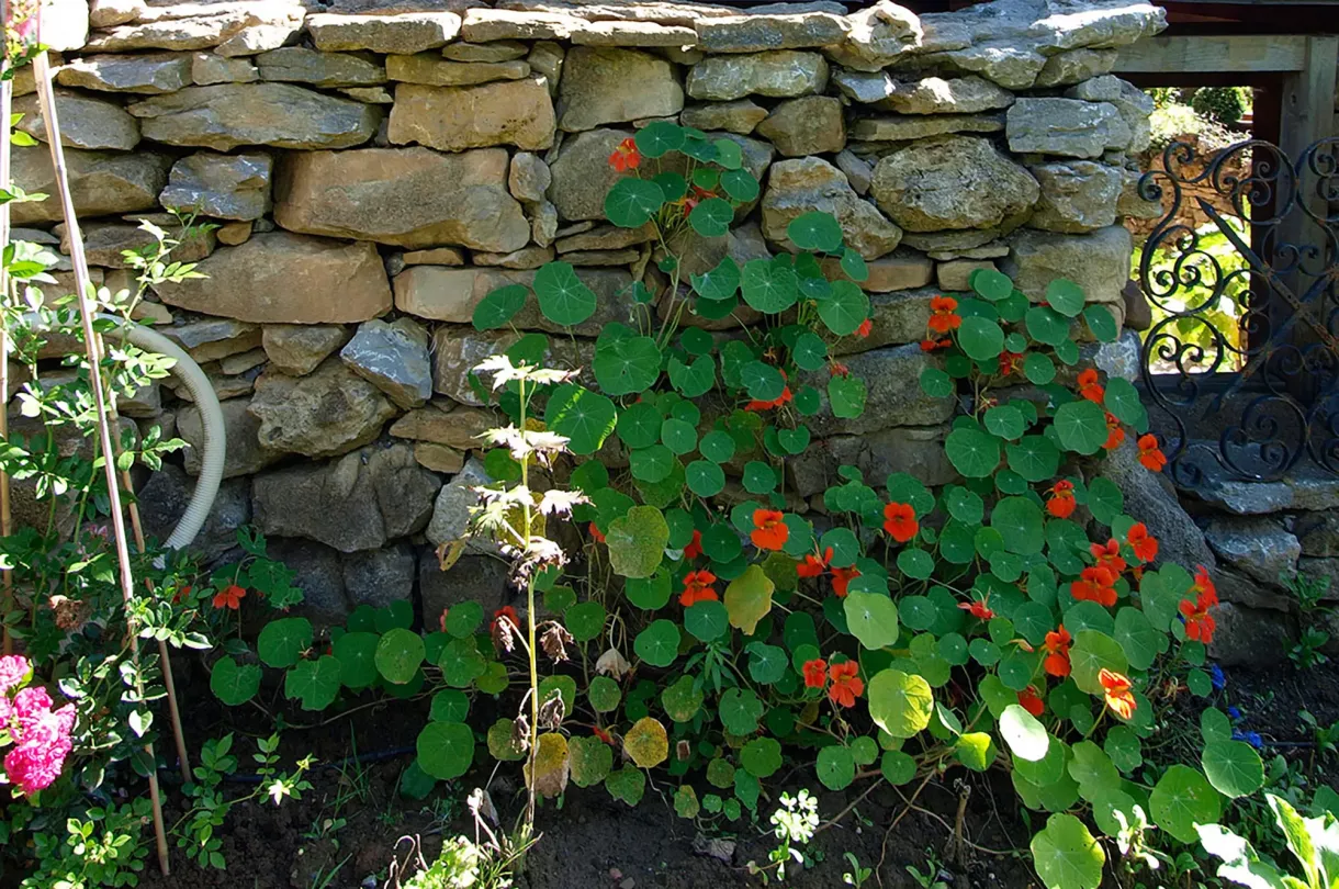 Holzhaus duffner blockbau schwarzwald schwaebische alb 07
